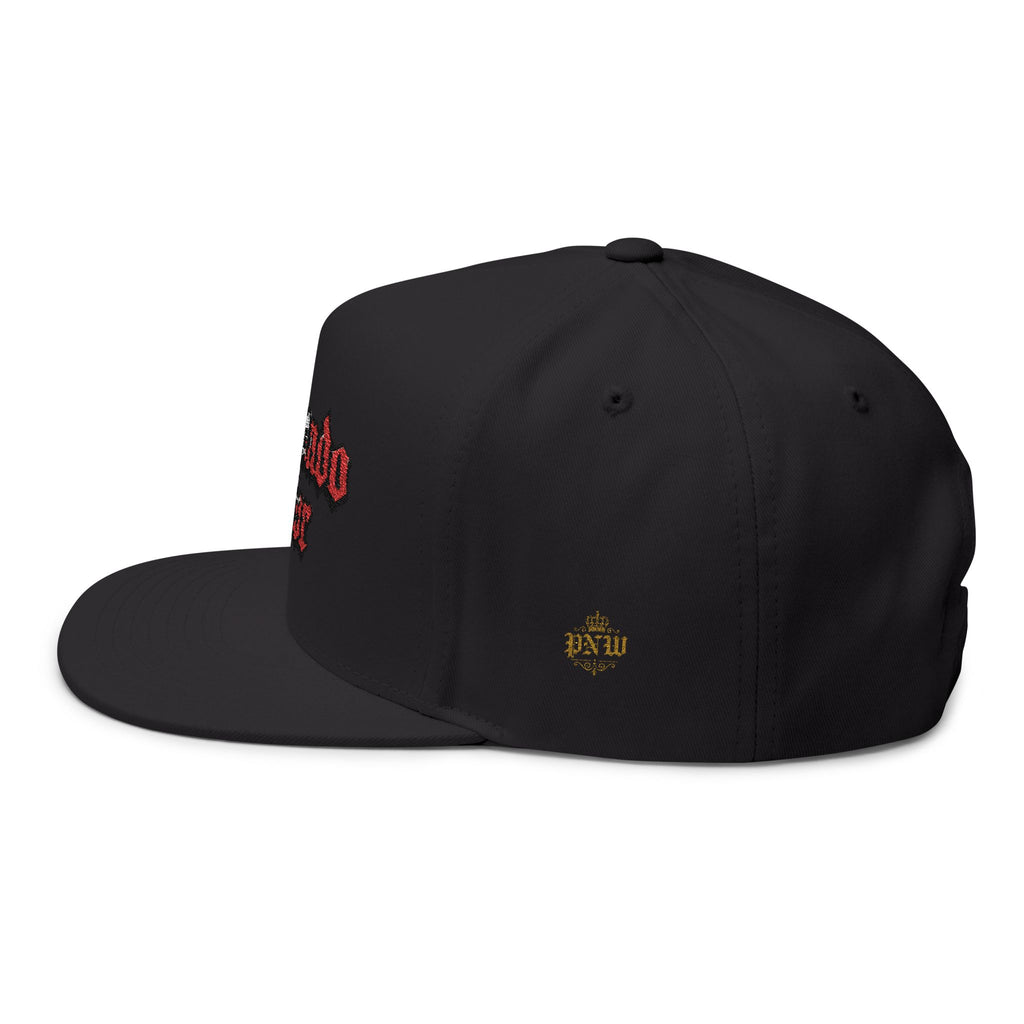 Sembrando el Terror snapback